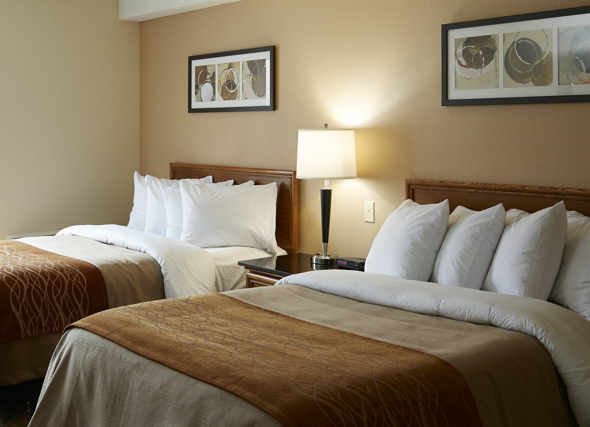 Comfort Inn Hwy 401 Kingston Eksteriør bilde